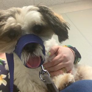 Meet your Posher, Vicky